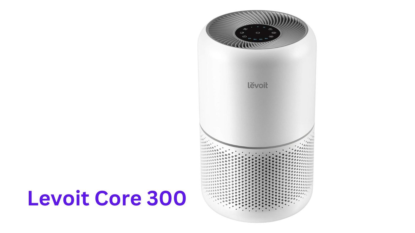 Levoit Core 300