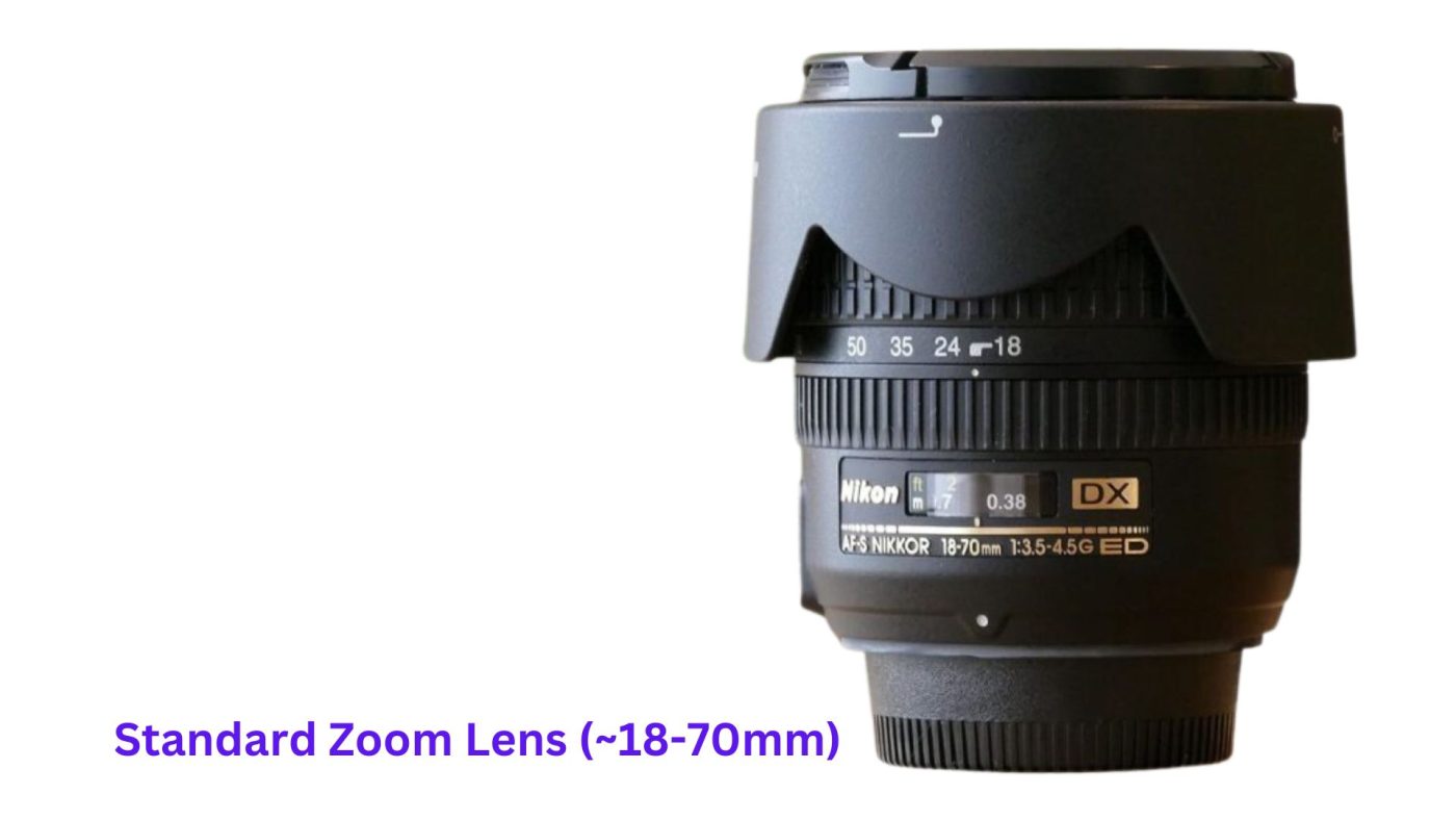 Standard Zoom Lens (~18-70mm)