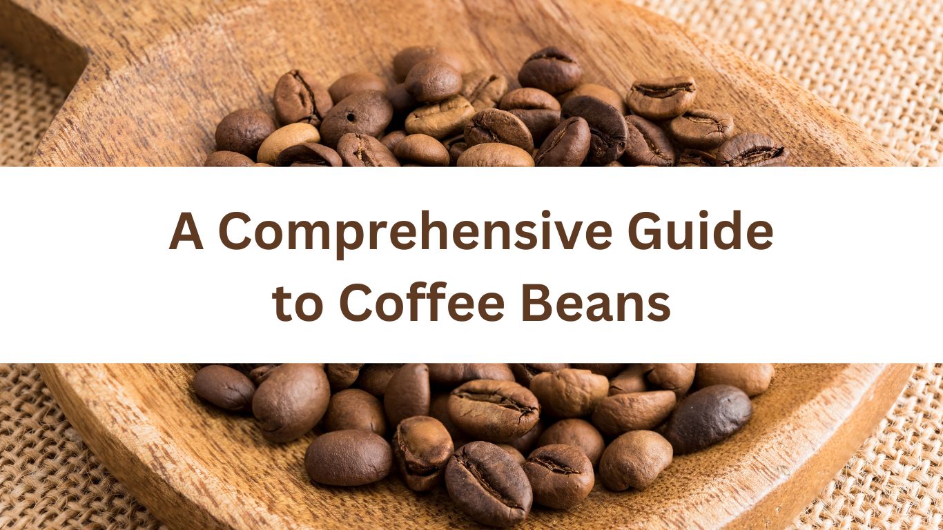 A Comprehensive Guide to Coffee Beans