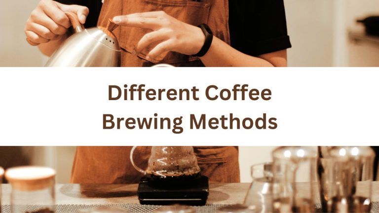Different Coffee Brewing Methods: Drip Coffee, French Press, more