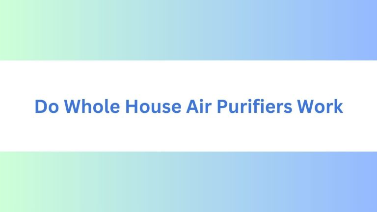 Do Whole House Air Purifiers Work : The Ultimate Guide