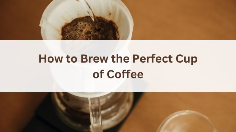 How to Brew the Perfect Cup of Coffee: A Step-By-Step Guide