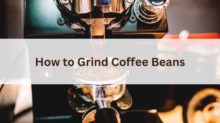 How to Grind Coffee Beans for the Perfect Brew