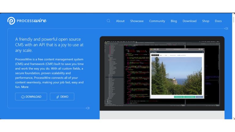 Processwire CMS Review: A Game-Changing Powerhouse