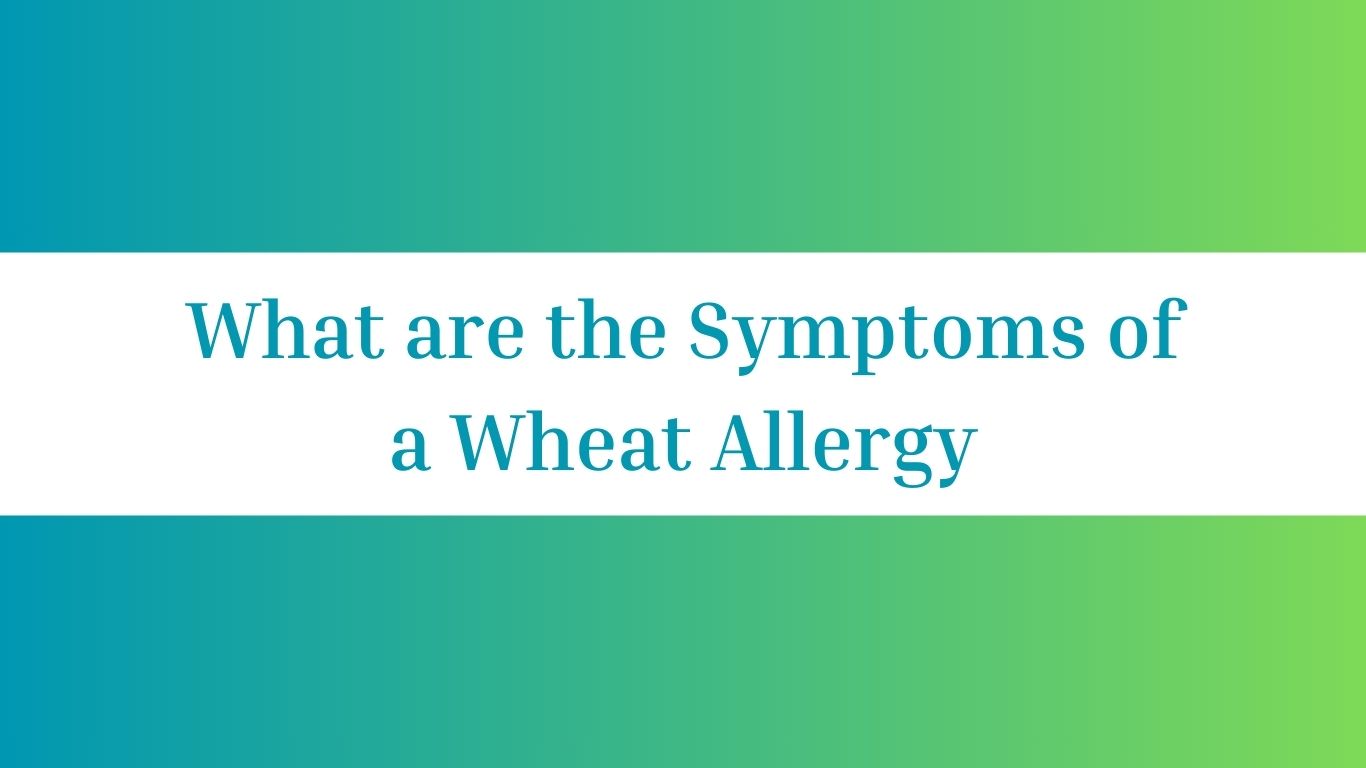 What are the Symptoms of a Wheat Allergy