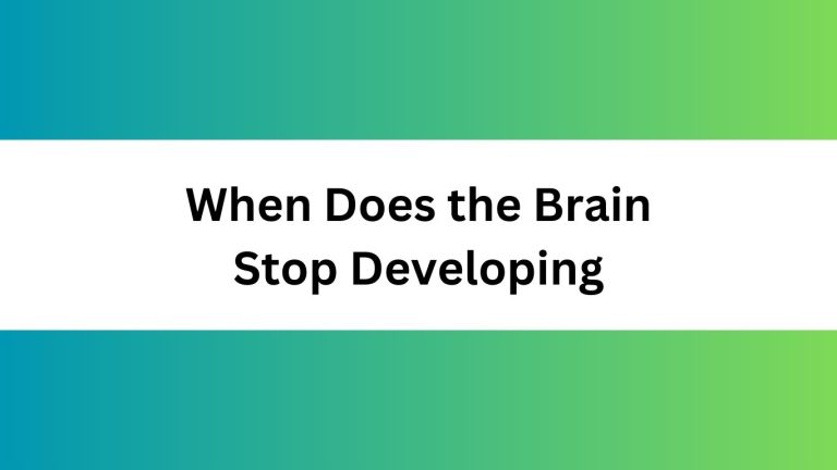 When Does the Brain Stop Developing: Unraveling the Science