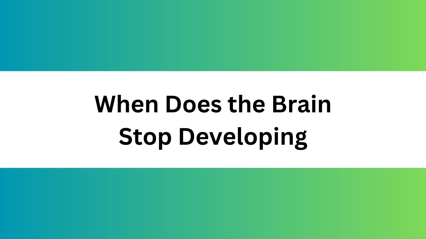 When Does the Brain Stop Developing