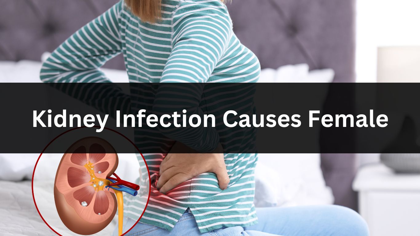 Kidney Infection Causes Female