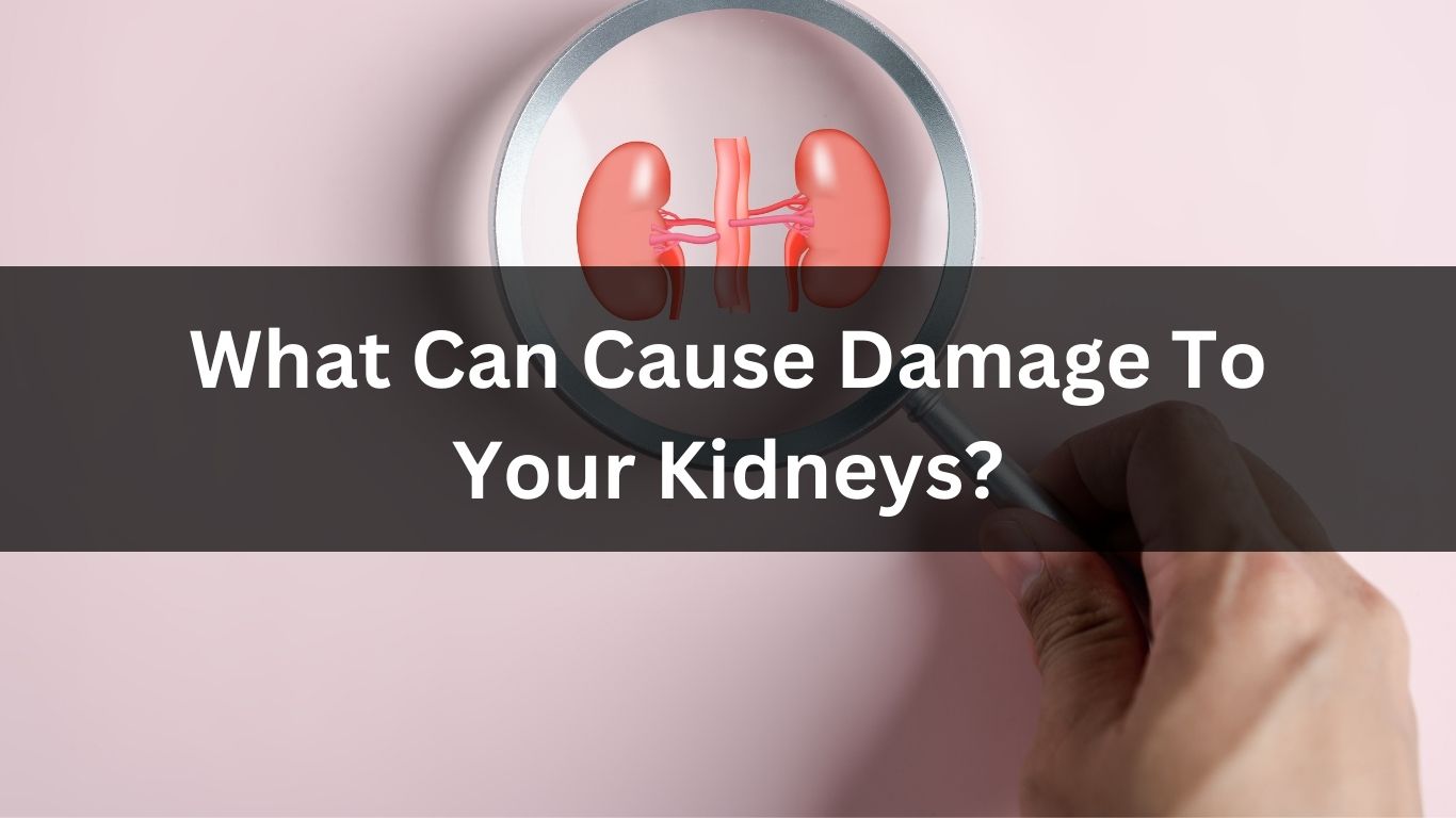 What Can Cause Damage To Your Kidneys