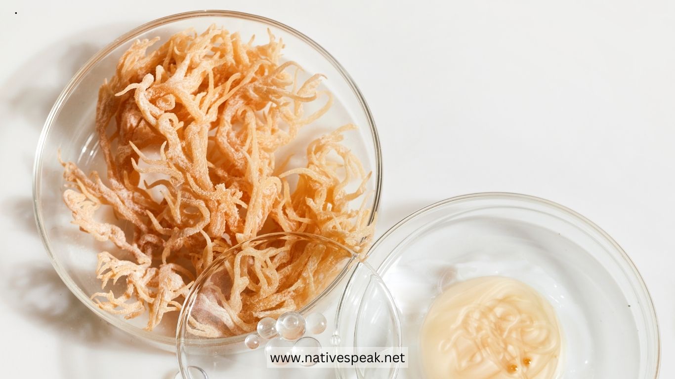 Sea Moss