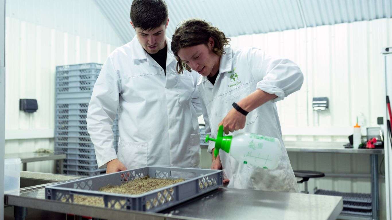 Lab Clean Boosts Agricultural Success
