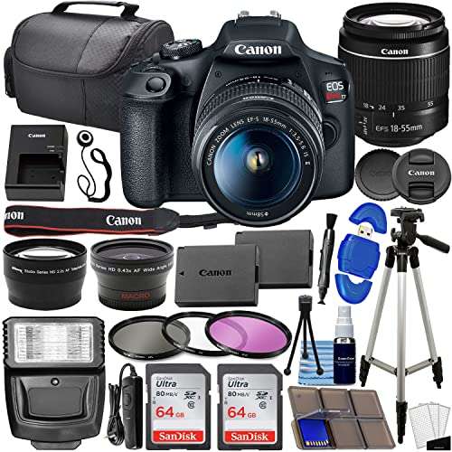 Best Canon Camera for Professional Photography
